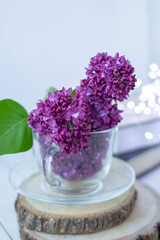 Transparent cup with flowers. Beautiful lilac fills the glass. The spring bouquet is worth no wooden cuts. Macro image of spring lilac purple flowers. Book in the background and lights. Blurred.