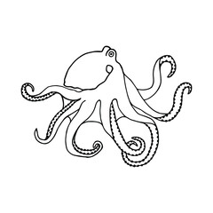 Octopus. Vector stock illustration eps10. Isolate on white background, outline. Hand drawing. 
