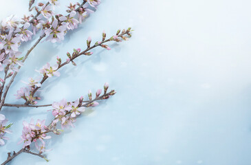 Spring easter background with almond flowers, sun flare and space for text 