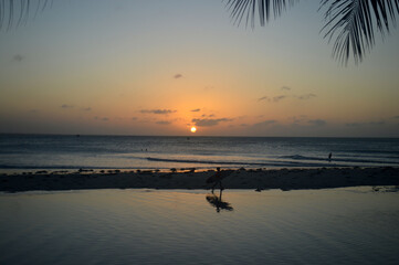 atardecer y horizonte