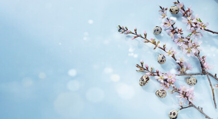 Spring easter background with almond flowers, quail eggs, bokeh and space for text. Web banner