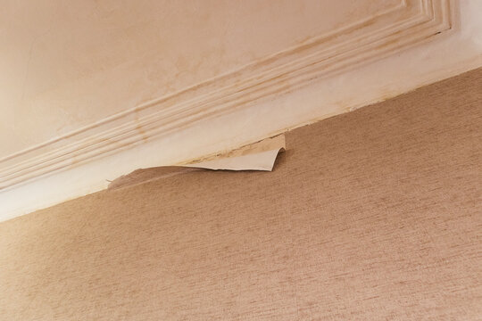 unstuck bad work gluing wallpaper rolls vinyl preparing the surface walls