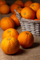 fresh, freshly picked oranges