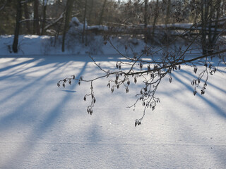 Eingefrorener Teich