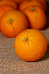 fresh, freshly picked oranges