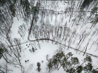 Paths in a snowy park. Aerial drone view. Winter snowy morning.