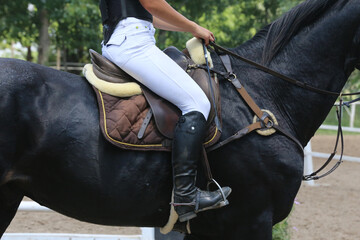  Show jumper horse under saddle in action