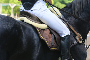  Show jumper horse under saddle in action