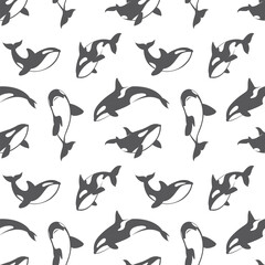 seamless pattern with orca killer whale on white background