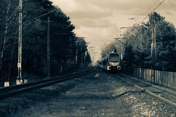 Naklejka na ściany i meble departing train in the woods, winter day