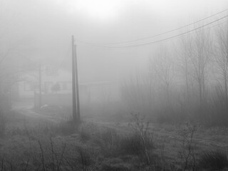 morning fog in winter