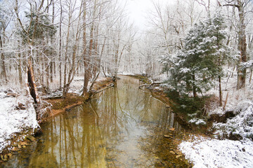 Creek in winter