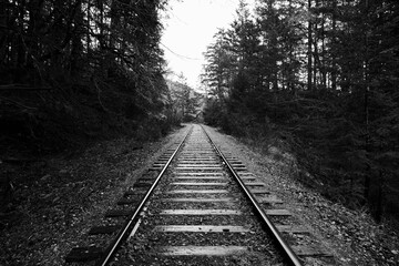Railroad tracks in black and white. 