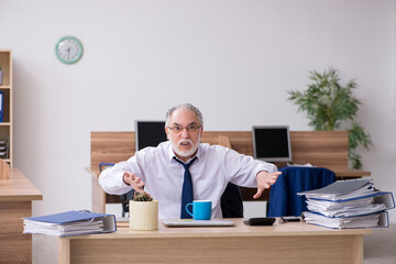 Old male employee working in the office