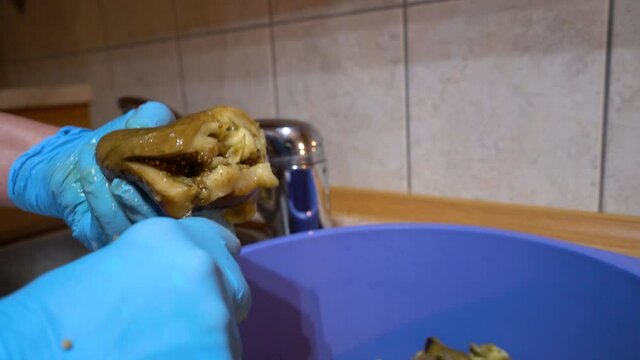 Cutting roasted eggplant into small pieces - (4K)