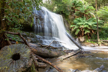 Lilydale water falls Northern Tasmania