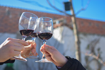 Glasses of red wine toasting in the garden. Concept of celebration joy and celebration