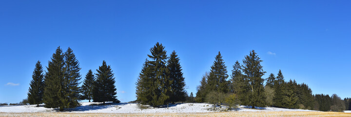 Cold season with snow and blue sky.