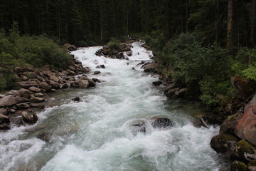 reißender, lebendiger Fluss in Österreich