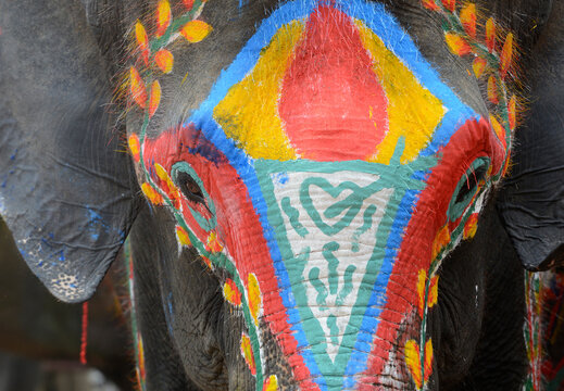 Close-up Of Elephant With Face Paint