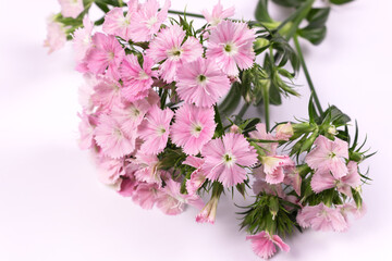 a bouquet of lilac-pink flowers lies on a white surface