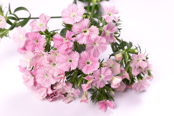 a bouquet of pink flowers lies with flowers on us