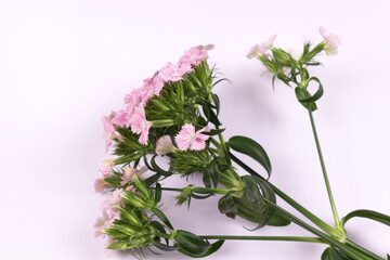 a bouquet of several pink flowers and greenery