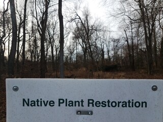 Naklejka premium native plant restoration sign with trees in woods