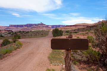 A fork in a desolate road leads off into the distance towards the White Rim trail in Canyonlands...