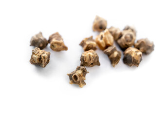 Swiss Chard seeds (Beta vulgaris, variety cicla). Rainbow Chard variety such as Bright Yellow, Fordhook Giant, Lucullus, Rhubarb, and Ruby. Grown for its edible leaves and leafstalks. Selective focus.