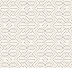 Vector seamless pattern. Modern stylish texture. Repeating geometric tiles with linear grid. Thin monochrome trellis. Trendy graphic design. Can be used as swatch for illustrator.