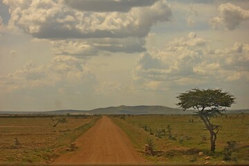 An African dirt road, Tanzania
