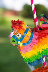 Small Rainbow donkey piñata centerpiece