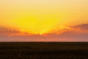 Fototapeta na wymiar A beautiful orange cloudscape sunset over a golden field of wheat in an agricultural landscape
