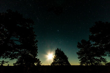 Fototapeta premium dramatic landscape of the Grand Canyon National Park in Arizona