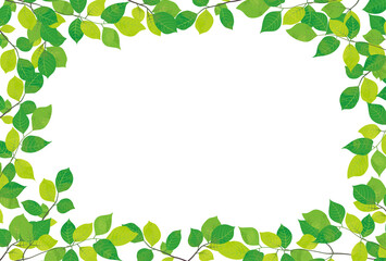 爽やかな新緑の飾り枠素材