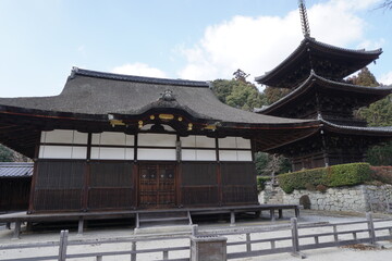 三井寺（園城寺）唐院潅頂堂と三重塔