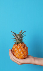 Hand holding a pineapple. Creative layout made of pineapple. Flat lay. Food concept.