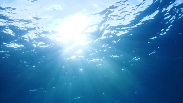 Underwater light rays || Slow motion video of sunlight