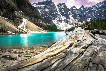 Obraz premium Morraine lake, Alberta, Canada