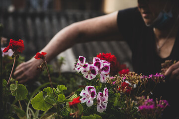 person holding a bunch of flowers