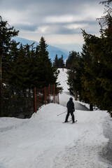 Teen boy skiing tree-lined trail at Poiana Brasov, Romania - 413681187