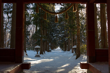 戸隠神社　参道を振り返る