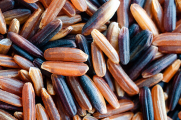 Closed up dry organic brown rice seeds with rice berry ready to cook, for carbohydrate food or agricultural product concept