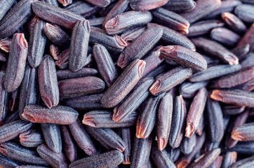 Closed up dry organic rice berry seed pile, for healthy food ingredient concept
