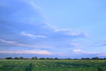 field and blue sky