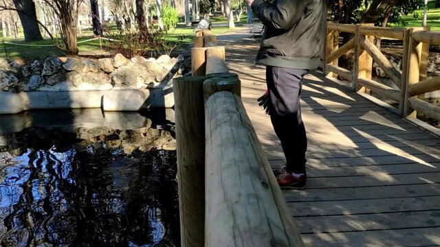 Pigeon close up on top of a rail in a wooden bridge in Retiro park, Madrid. The pigeon flies away and lands again on the bridge beyond a person standing in the middle. A family walks past.