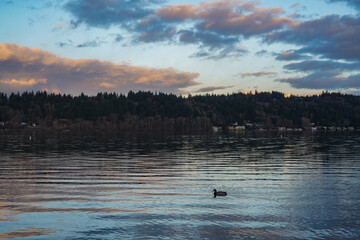 Sunset over the lake