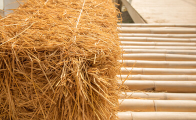 Close up and selective focus shot with copy space of straw stack packed on dried bamboo floor which is decorated in rural farming area. It is beautiful background for agricultural concept in summer