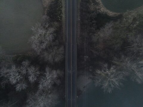Foggy roads